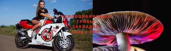 spice Вяземский