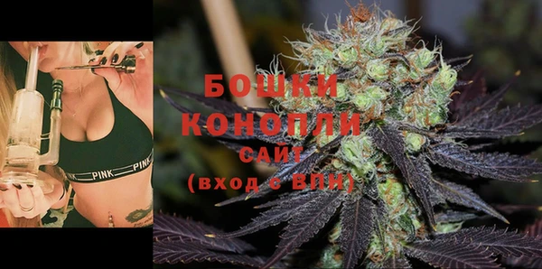 spice Вяземский